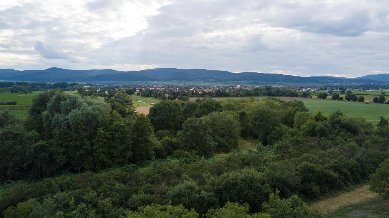 Ferienhaus Lenchen Niederkirchen bei Deidesheim 外观 照片